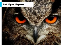 Owl eyes jigsaw