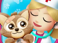 Animal daycare pet vet game