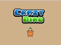 Crazy bird