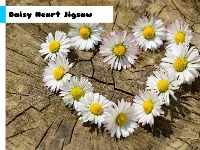 Daisy heart jigsaw