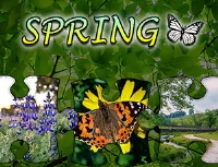 Jigsaw puzzle: spring