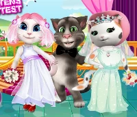 White kittens bride contest