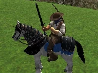 Reiten simulator