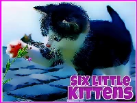 Six little kittens