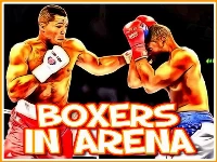 Boxers in arena