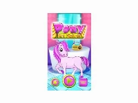 Pony salon