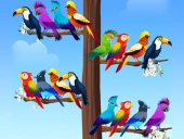 Bird sort puzzles