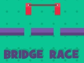 Bridge race   test of precision