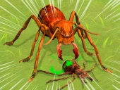 Ants empire evolve sim
