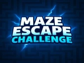 Maze escape challenge